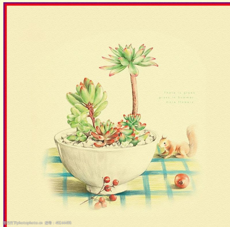 插画植物彩铅手绘植物图片