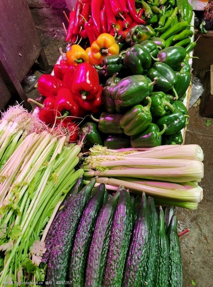 芹菜菜市场图片