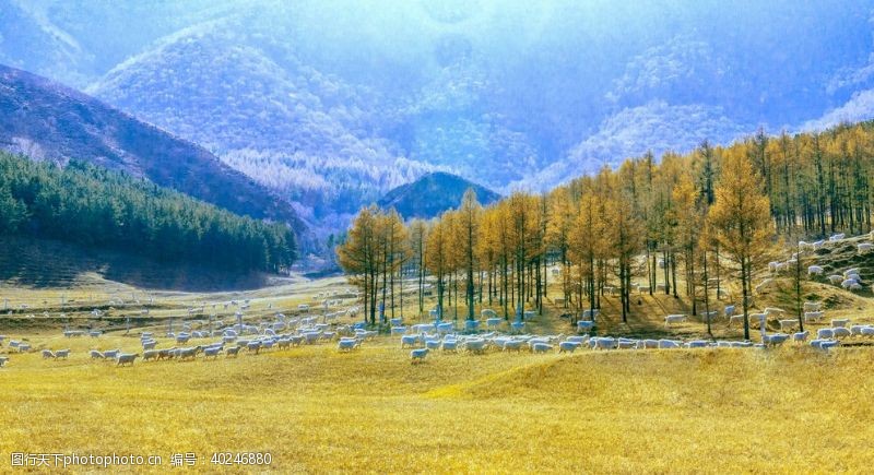 古风场景草原图片