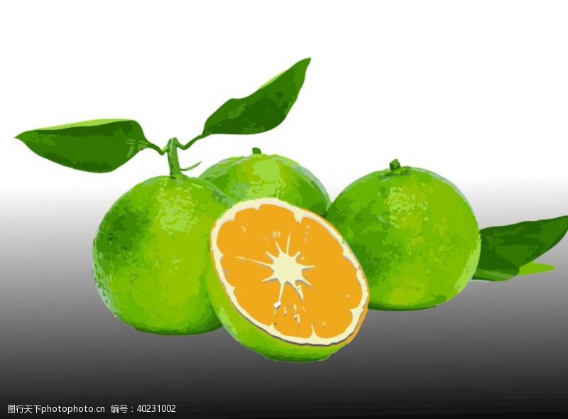 不合层柑橘图片