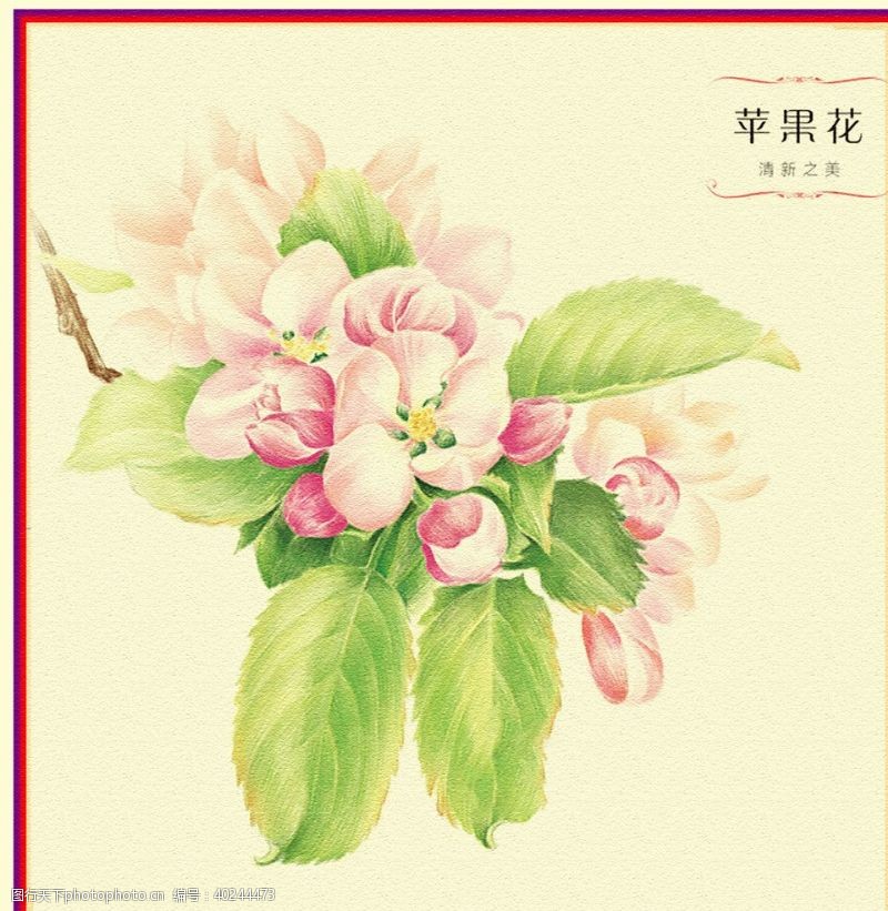 现代装饰花花朵图片