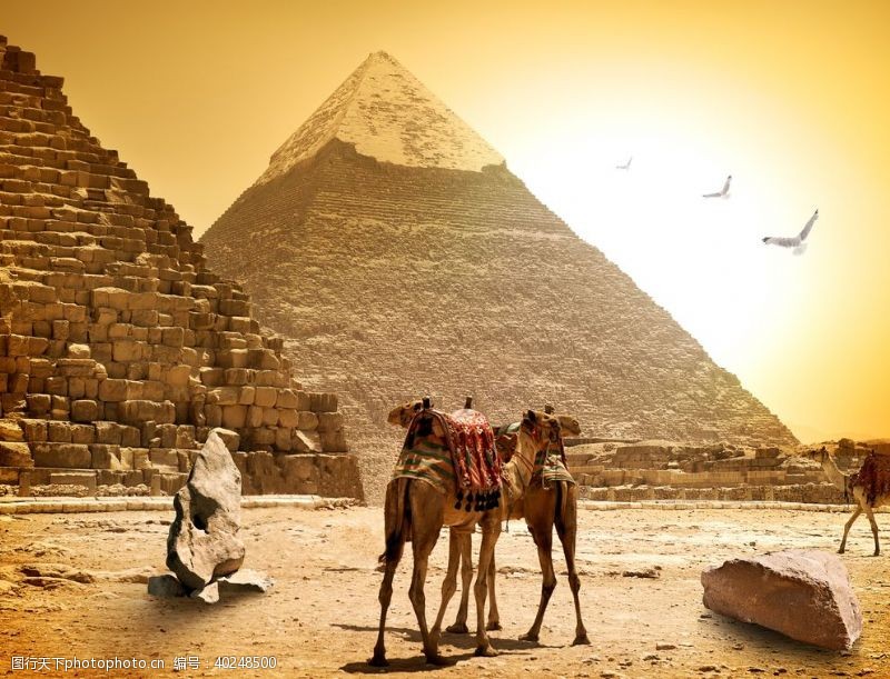 旅游风光金字塔图片