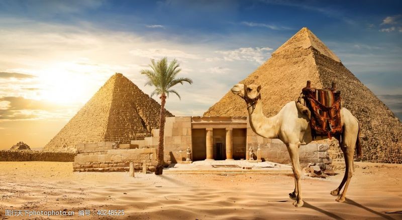 骆驼金字塔图片