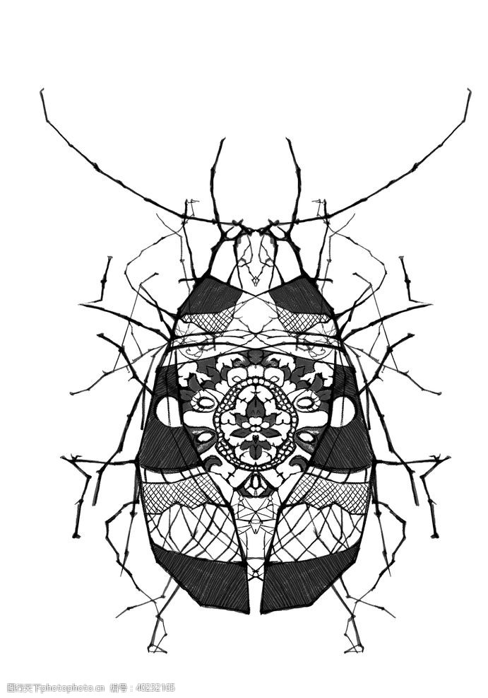 动物插画昆虫图片