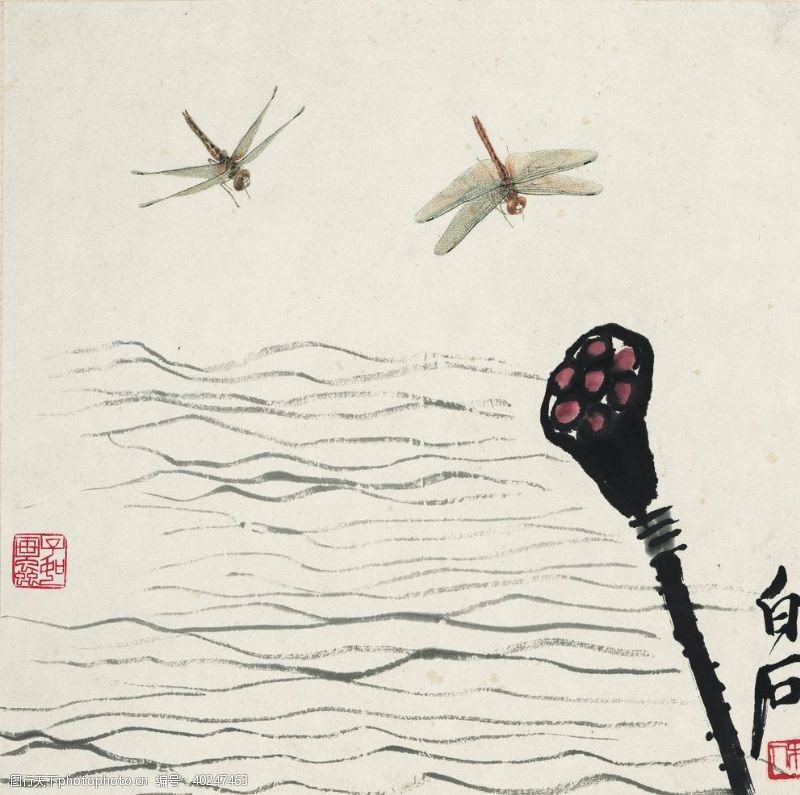 中国现代人物齐白石国画莲蓬蜻蜓图图片