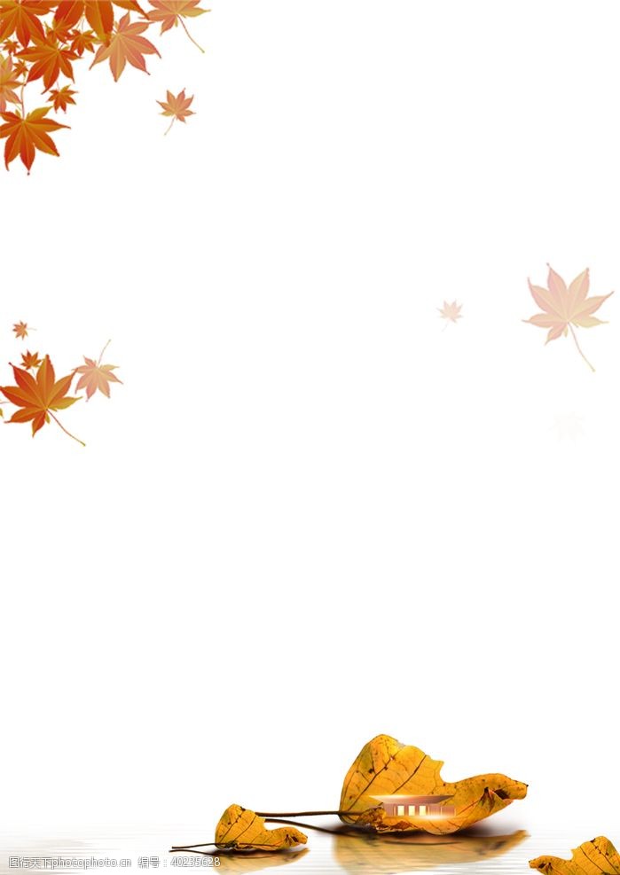 秋季背景素材秋天落叶图片