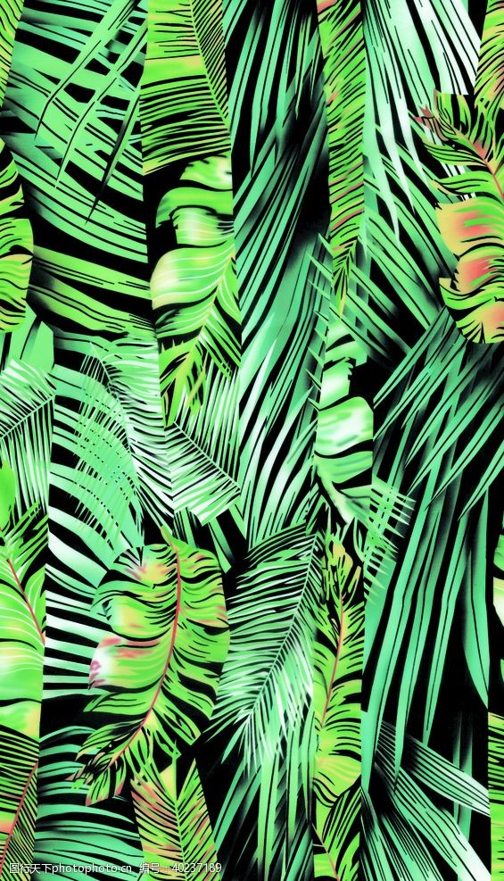 流行印花热带植物图片