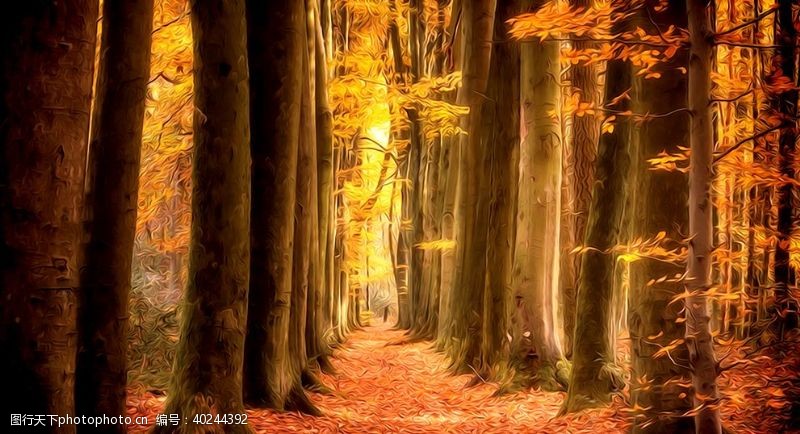 秋天黄色树叶插图山水风景油画图片