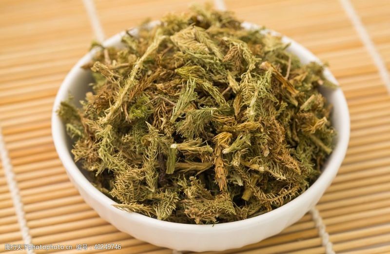 中草药伸筋草图片