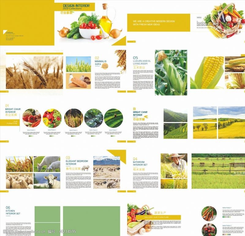 画册模板蔬菜画册图片