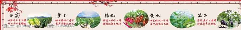 蔬菜节蔬菜介绍展板图片