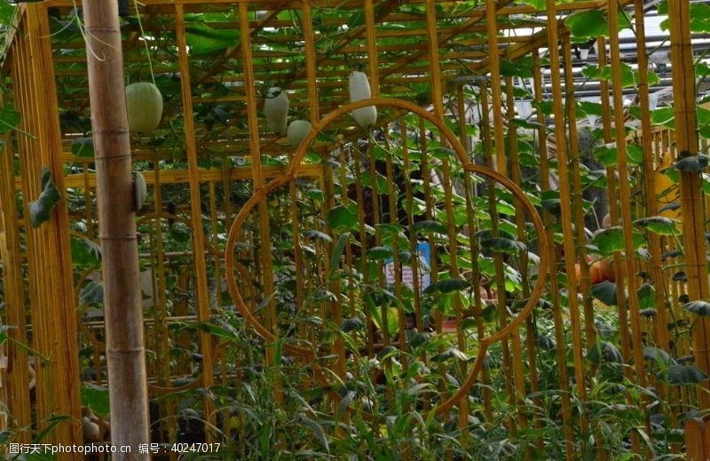 植物园风景温室风景图片