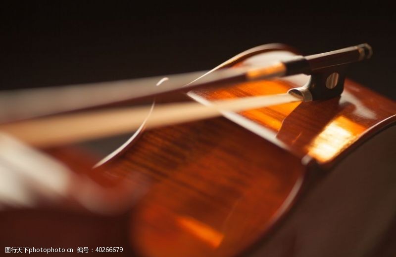 音乐艺术小提琴图片