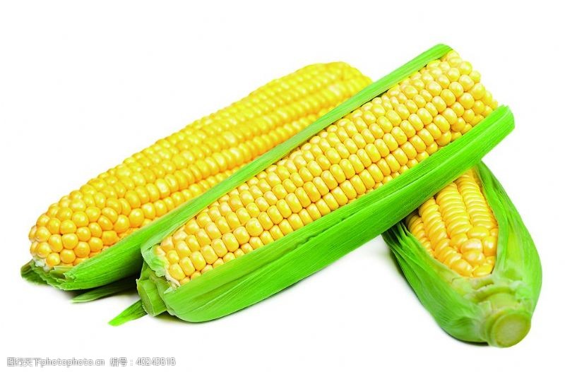 分类玉米图片