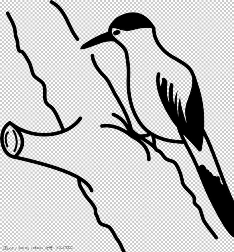 树木插画啄木鸟图片