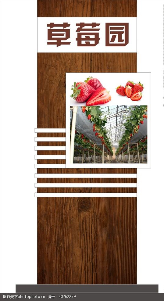 水果宣传单草莓园标识牌图片