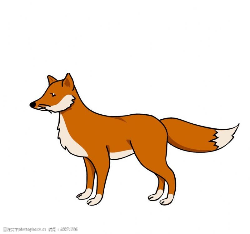 卡通动物插画卡通狐狸手绘图片