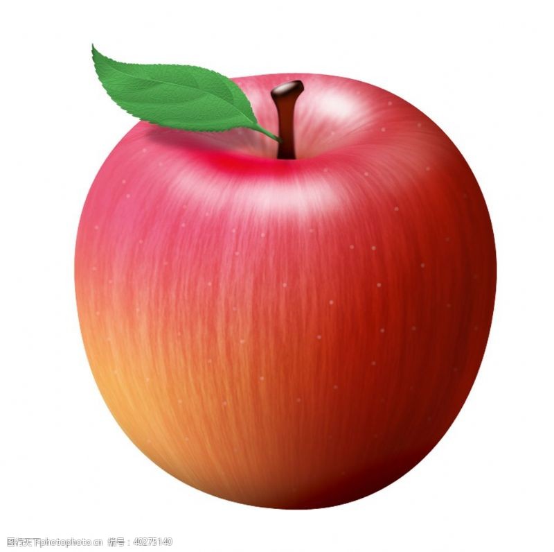生物世界卡通手绘苹果图片