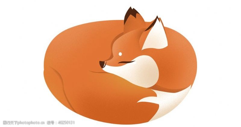 线稿卡通睡着的小狐狸插画图片