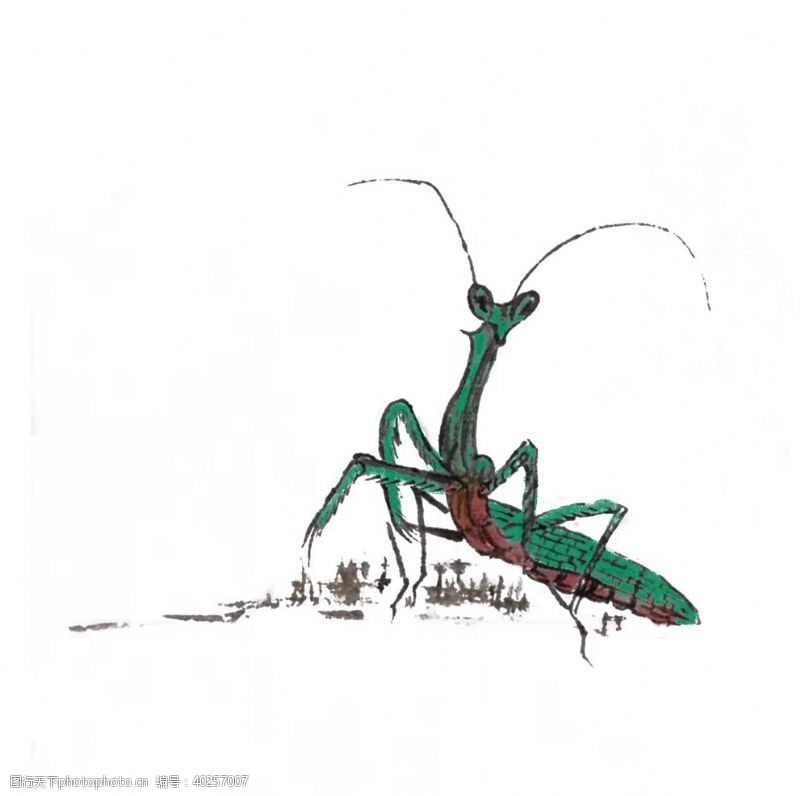 小花卡通螳螂图片