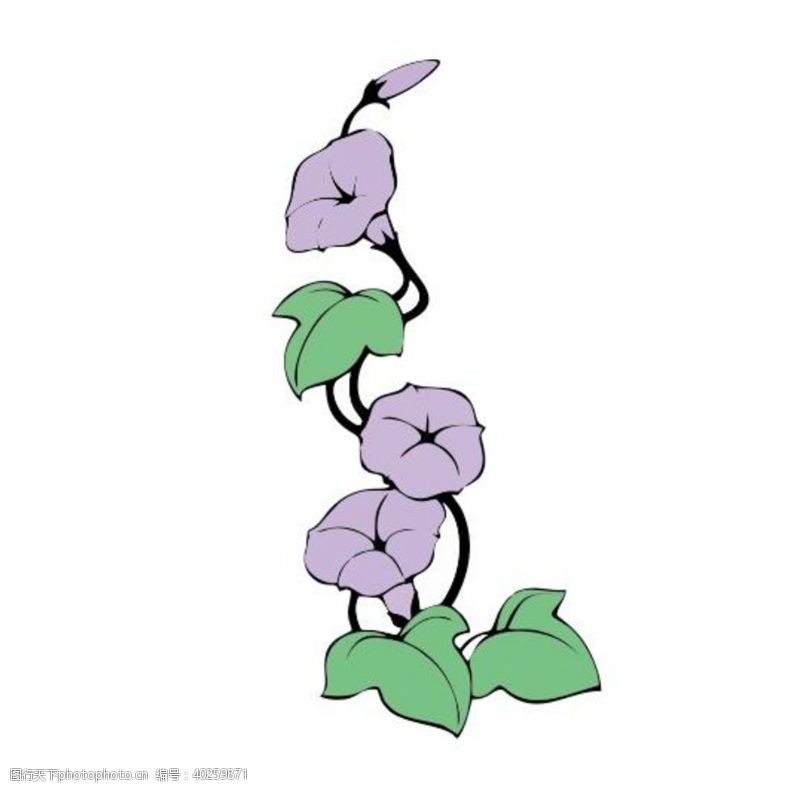 紫色花朵矢量喇叭花图片
