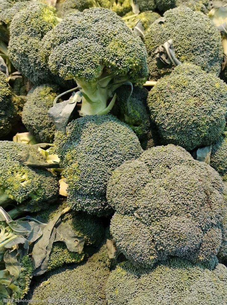 蔬菜超市西兰花图片