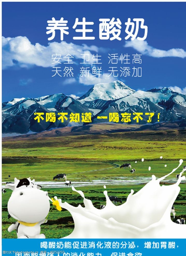 西藏背景图养生酸奶雪山图片