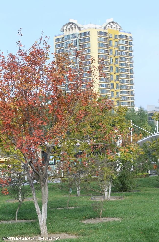 植物园风景园林风景图片