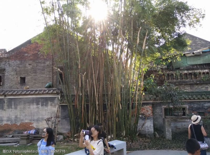 中式园林竹林图片