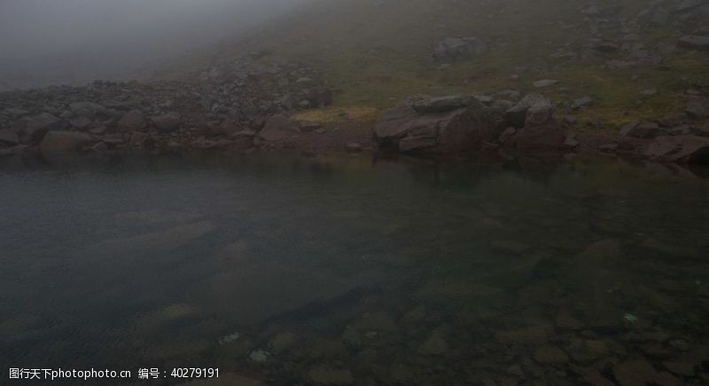 湿地自然风光图片