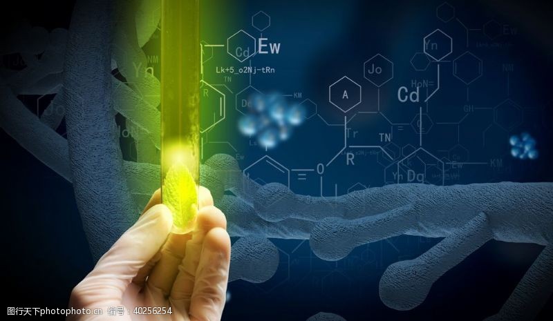 生物医疗玻璃试管图片