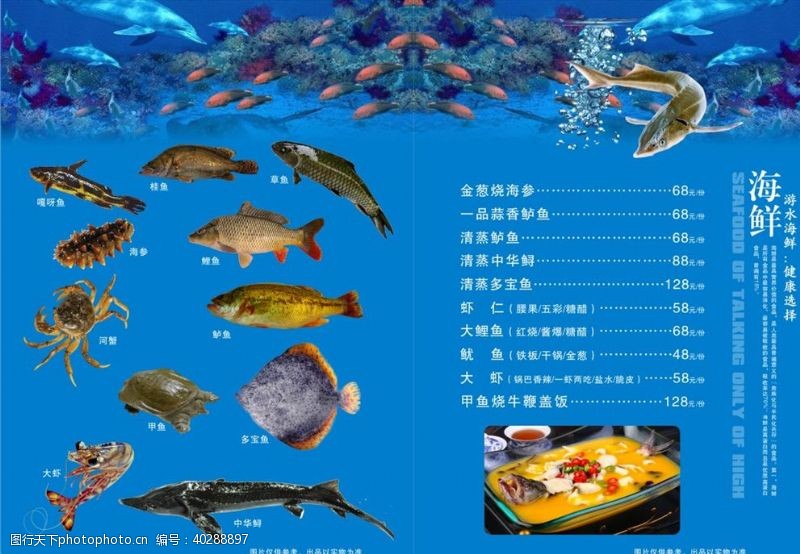 草鱼海鲜价目表图片