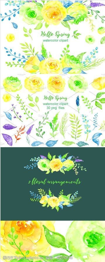 花卉布纹花型设计春季水彩花卉手绘图片