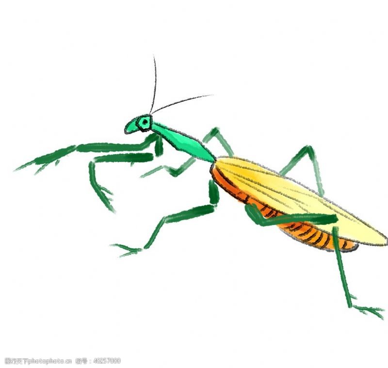 昆虫卡通手绘蚱蜢图片