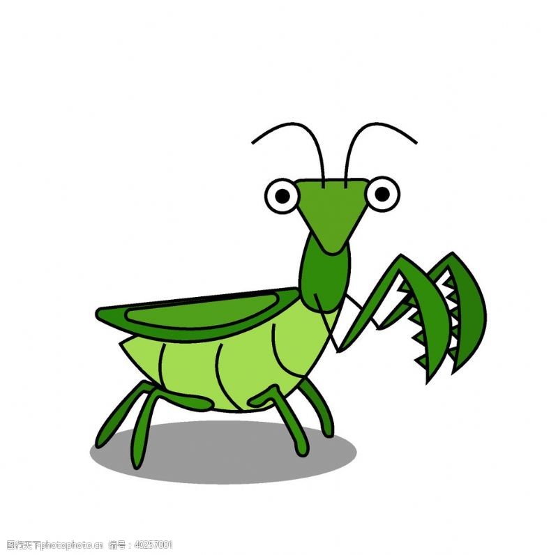 昆虫卡通螳螂图片