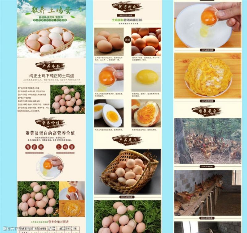 详情页设计散养土鸡蛋详情页图片