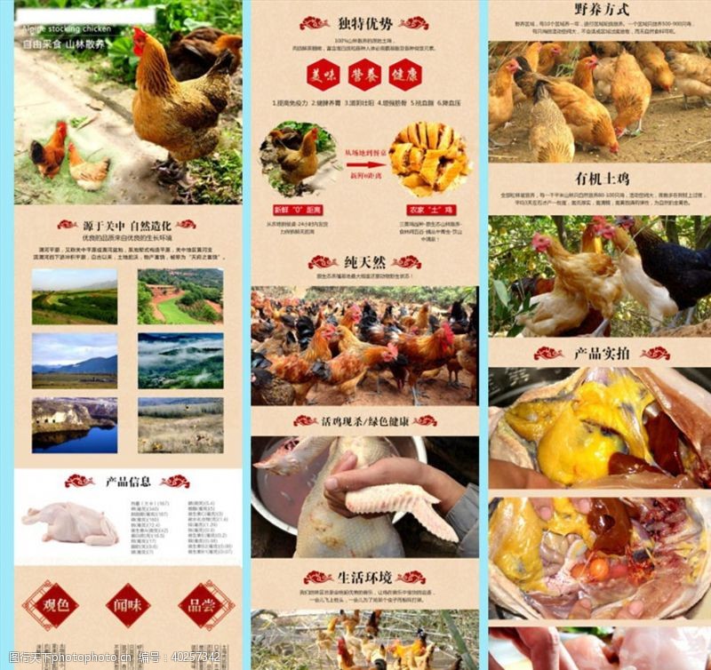 健康肉类散养土鸡肉详情页图片
