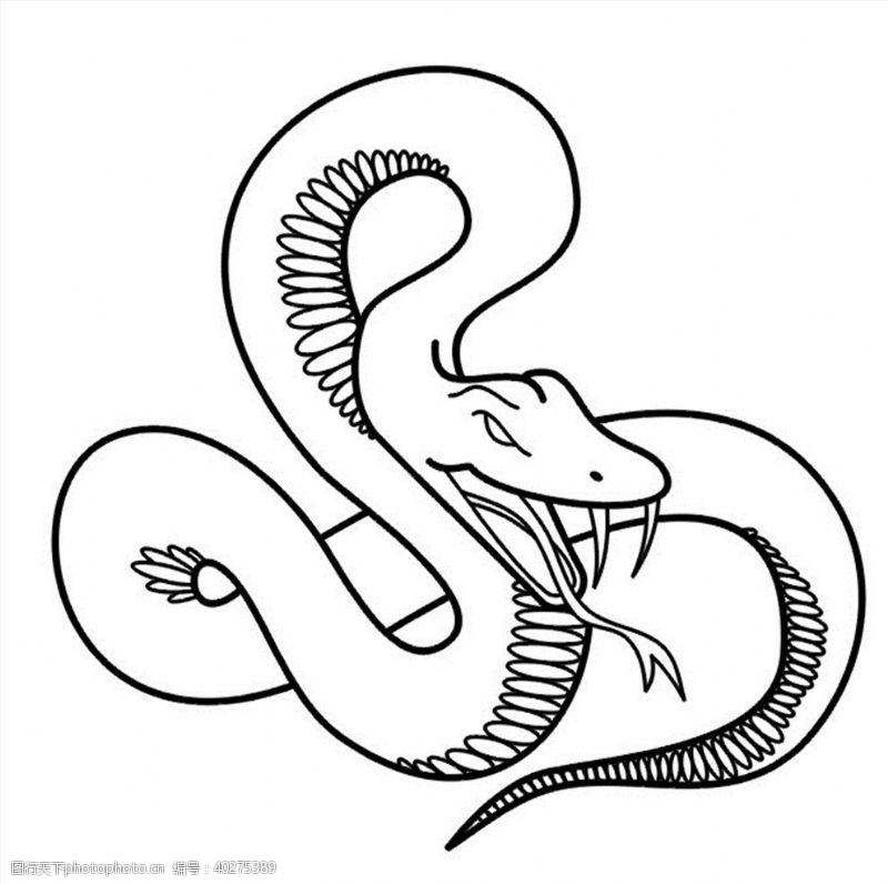 雕刻蛇矢量图图片