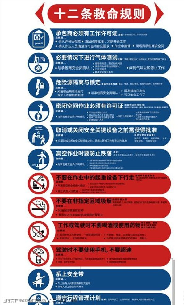 海报展示十二条救命规则图片