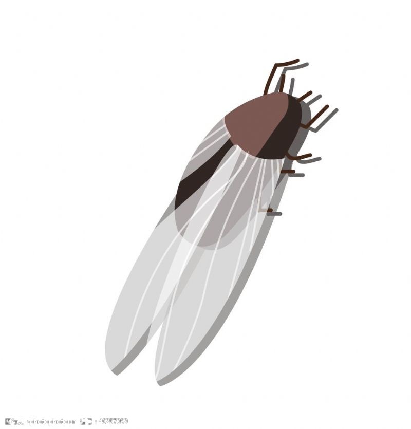 手绘卡通知了蝉昆虫动物插画图片