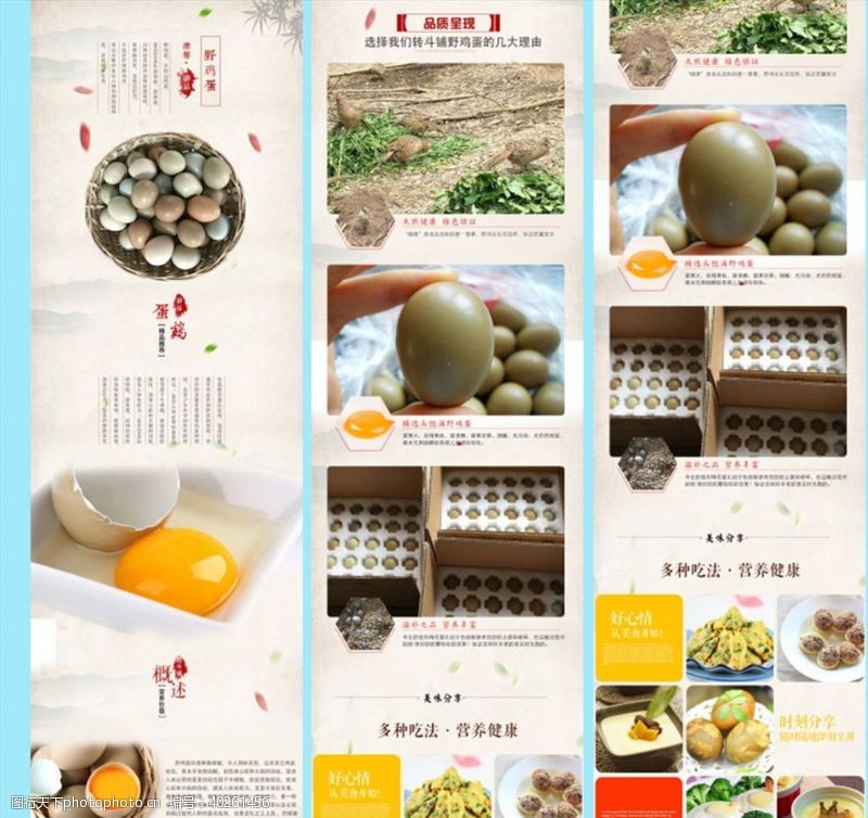 鸡蛋设计野鸡蛋详情页图片
