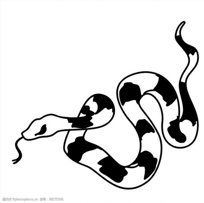 图腾毒蛇图片