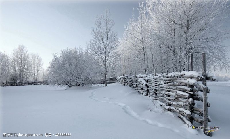 冬天背景风景图片