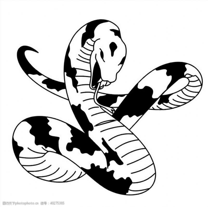 雕刻花纹花蛇图案图片