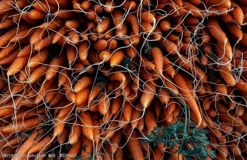 世界美食胡萝卜蔬菜美食食物背景图片