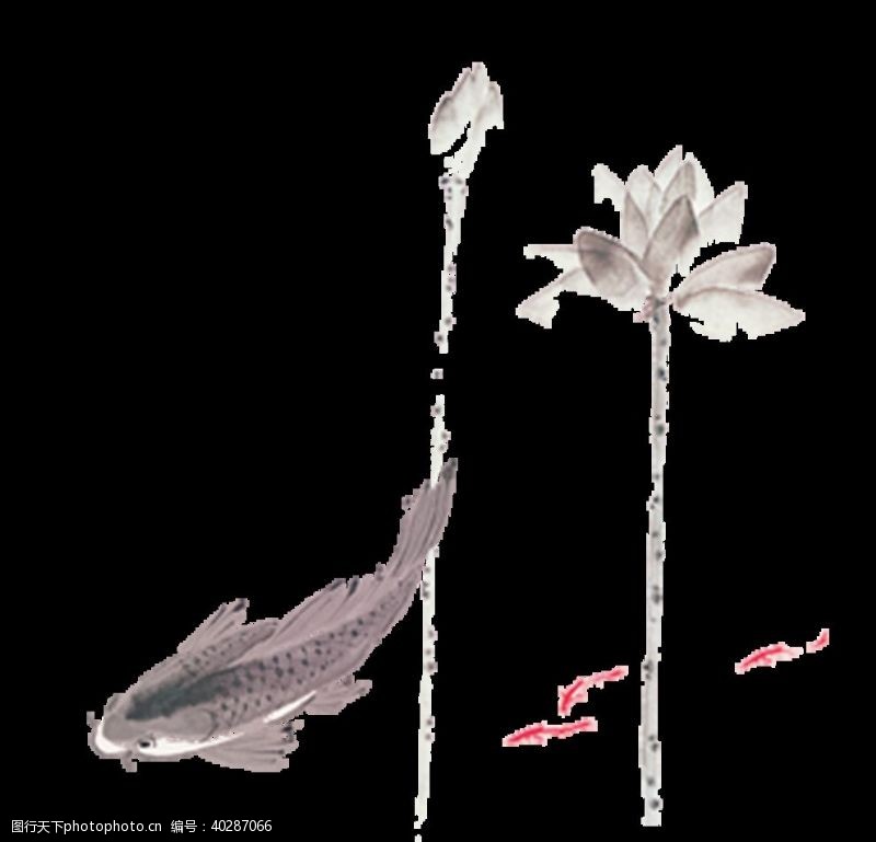 莲花设计锦鲤图片