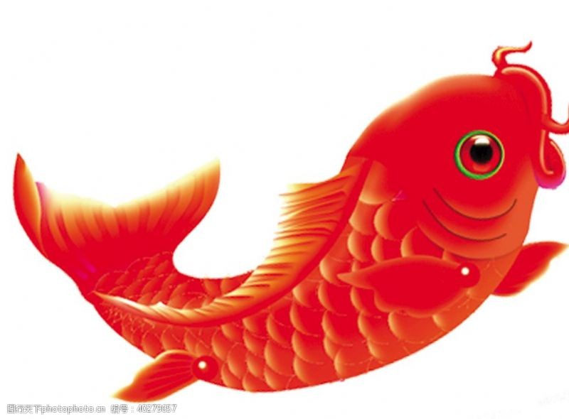 红鲤鱼鲤鱼跳龙门上叁图片
