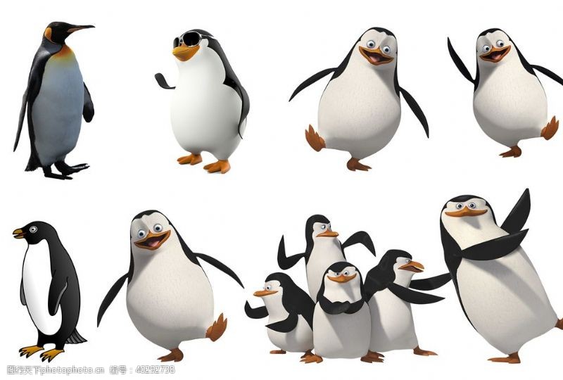 卡通动物企鹅图片