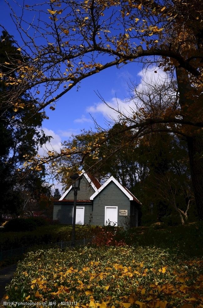 建筑景观秋天的院子图片