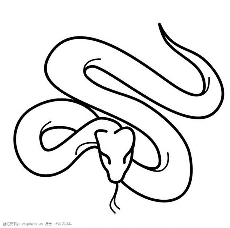 雕刻花纹蛇素材图片